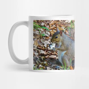 Happy Squirrel Mug